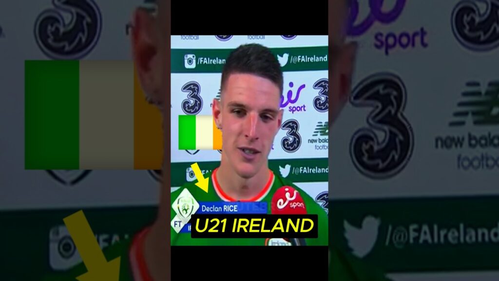 Declan Rice & Grealish 🇮🇪💔