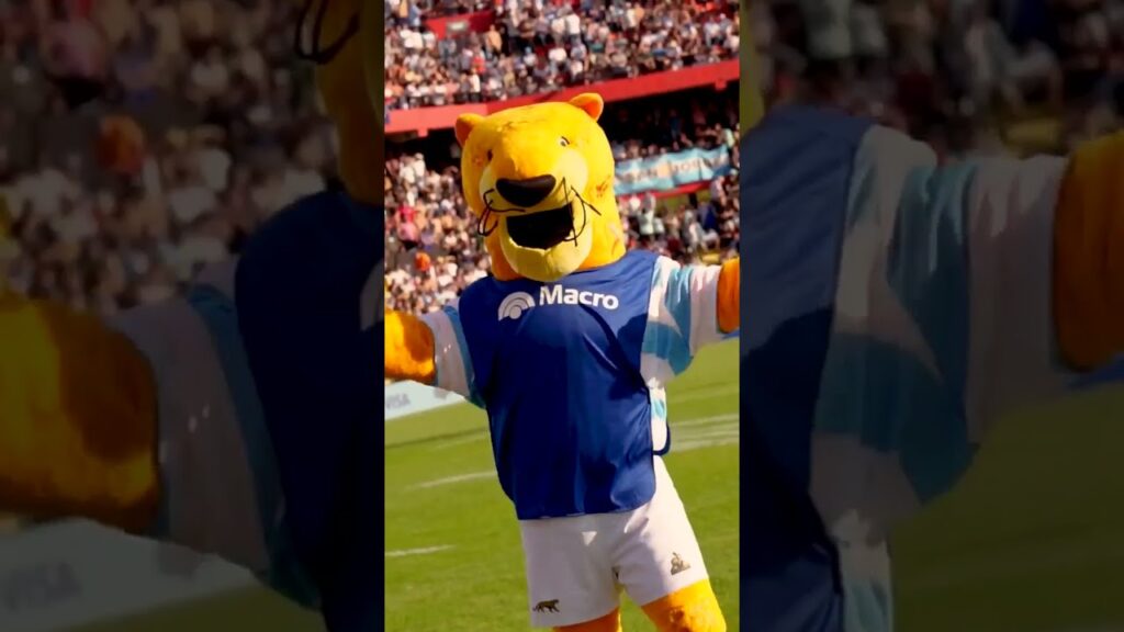 Los Pumas vs Wallabies, entretiempo Banco Macro #PensáEnRugby