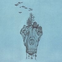 Norwich have granted Stoke City permission to speak to first-team coach Narcis Pélach for managerial appointment