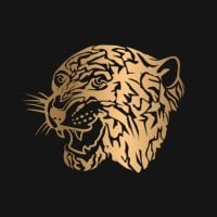 Striker João Pedro signs for Hull City as a free agent upon the expiration of his contract at Fenerbahçe