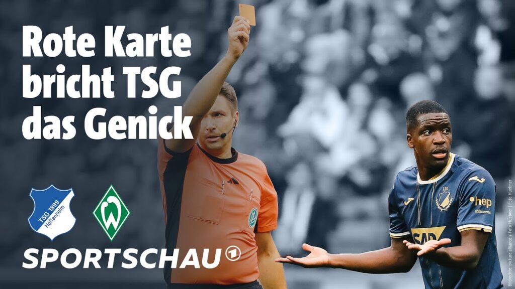 TSG Hoffenheim – SV Werder Bremen Highlights Bundesliga, 5. Spieltag | Sportschau Fußball