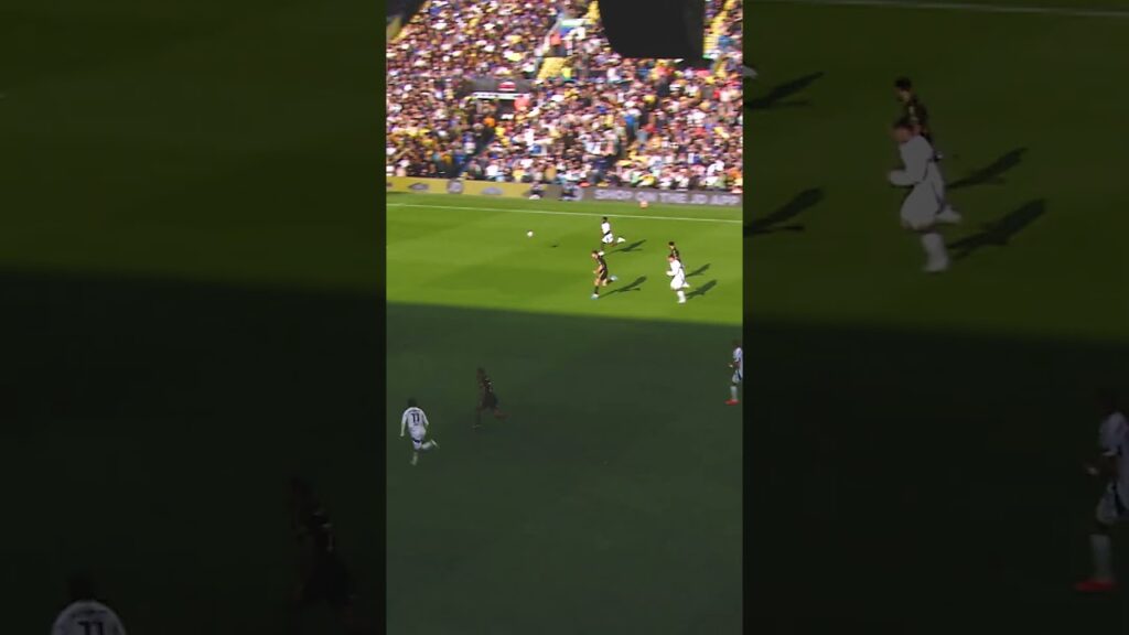 Ao Tanaka = midfield baller 🇯🇵