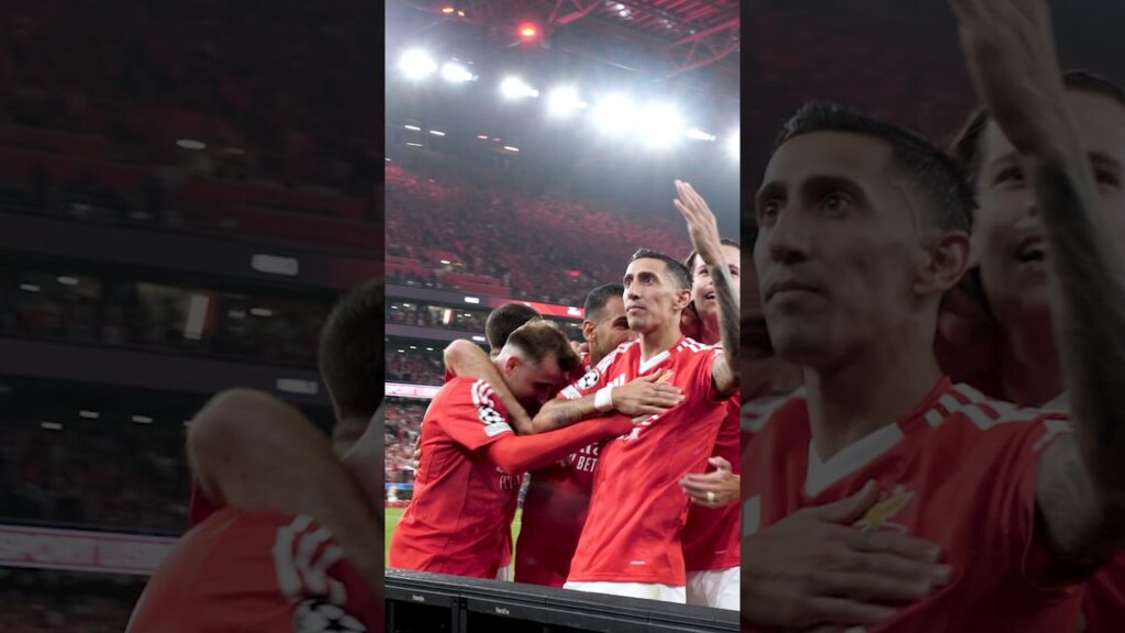 𝑨́𝒏𝒈𝒆𝒍. 𝑫𝒊. 𝑴𝒂𝒓𝒊́𝒂.™️ #DiMaria #SLBATM #UCL #ChampionsLeague #Benfica #SLBenfica