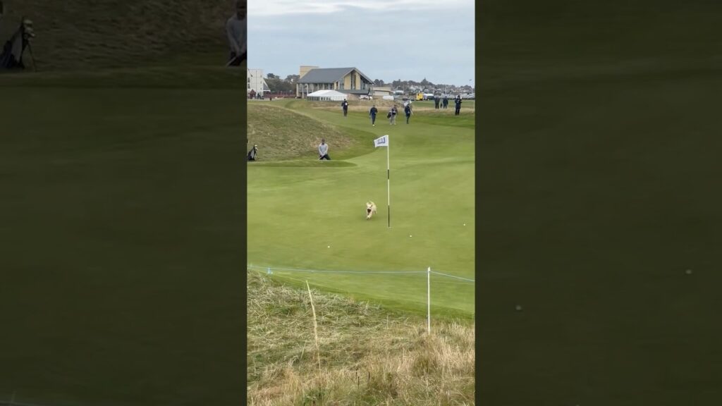 Dog STEALS Gareth Bale’s ball 😂