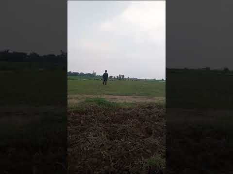 International Olympic committee Switzerland qualified gymnastics coach MOHAMMED owais