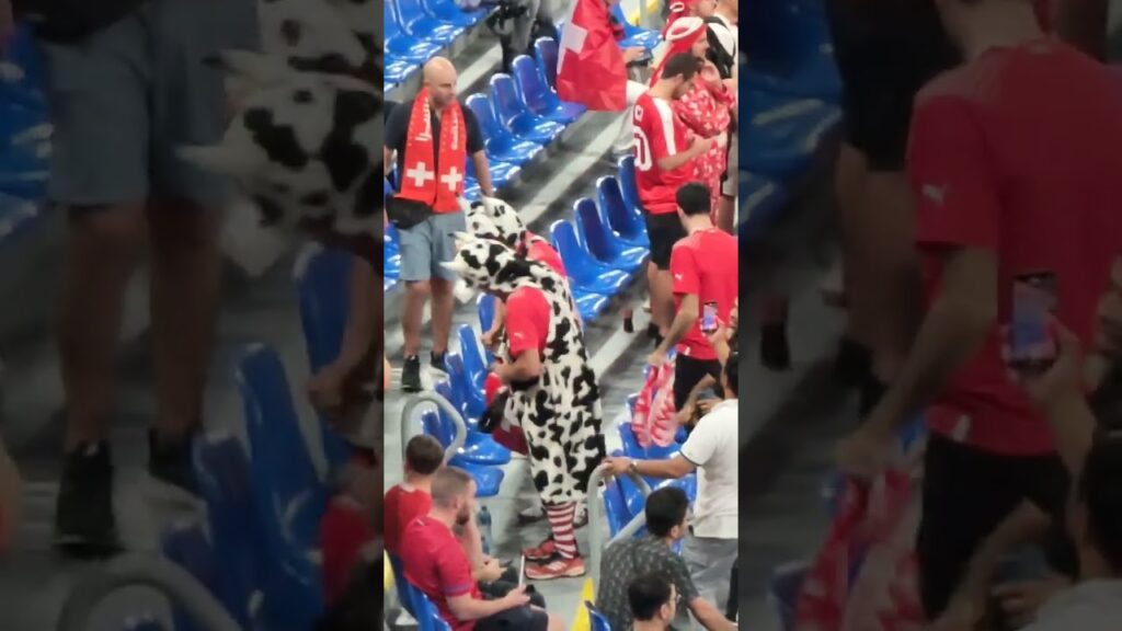 Švajcarski navijači na utakmici protiv Srbije - Switzerland football Fans  Qatar #shorts #fyp #viral