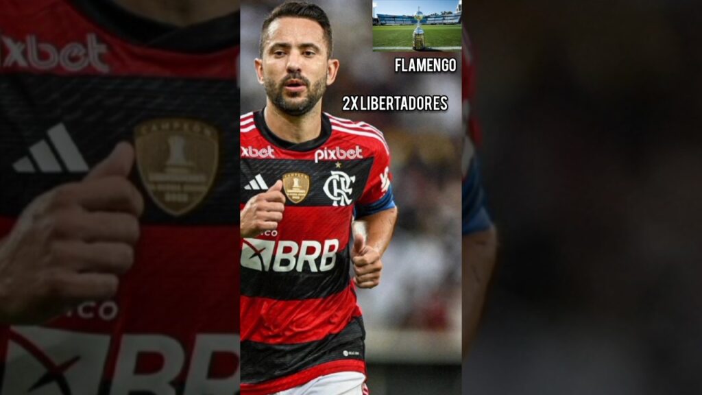 OS TÍTULOS NA CARREIRA DE ÉVERTON RIBEIRO #shorts #boleiragemgols #evertonribeiro #flamengo