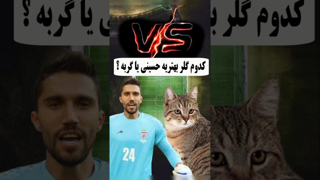بدون تعصب کدوم دروازبان بهتریه؟ حسینی VS گربه #short #shorts #tiktok #استقلال #دروازبان