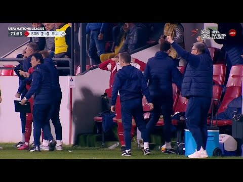 Predrag Rajkovic Penalty Save | Serbia vs Switzerla(2-0) Highlights - UEFA National League 2024