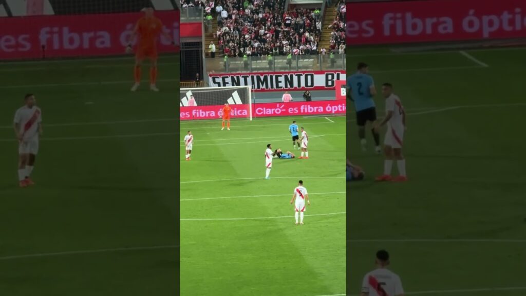 𝐄𝐥 𝐂𝐨𝐝𝐚𝐳𝐨 𝐝𝐞 𝐄𝐝𝐢𝐬𝐨𝐧 𝐅𝐥𝐨𝐫𝐞𝐬 𝐚 𝐅𝐞𝐝𝐞𝐫𝐢𝐜𝐨 𝐕𝐚𝐥𝐯𝐞𝐫𝐝𝐞 🇵🇪