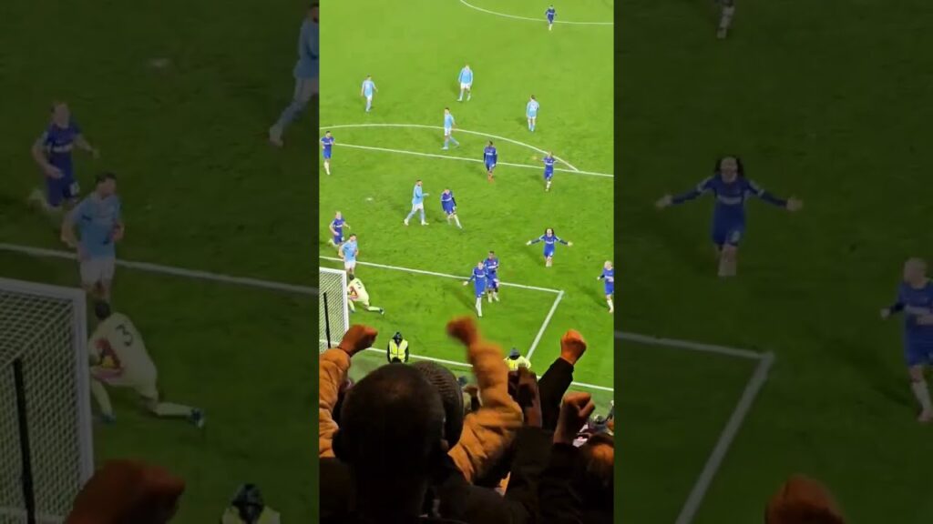 Mateo Kovacic (Manchester City) celebrates Chelsea goal (Cole Palmer)