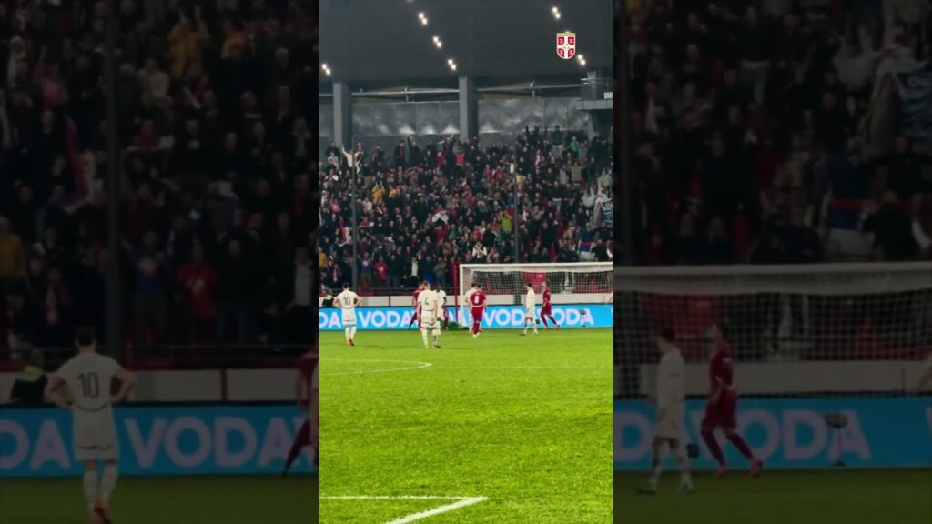 Rajković branj penal protiv Švajcarske