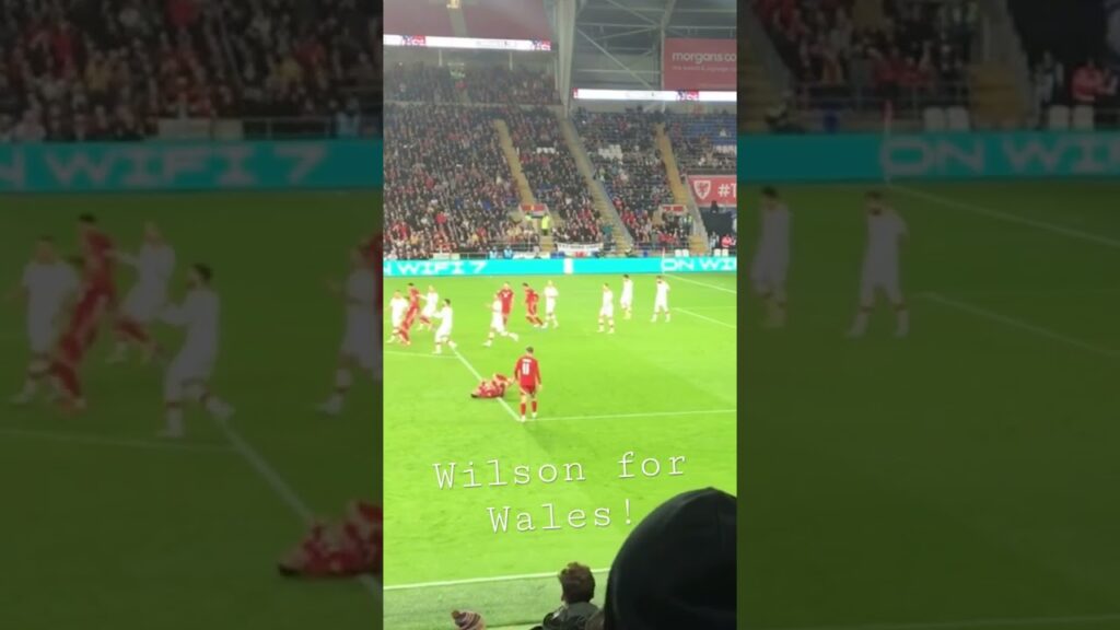 How come Harry Wilson doesn’t start for Fulham? #peldroed  : #football