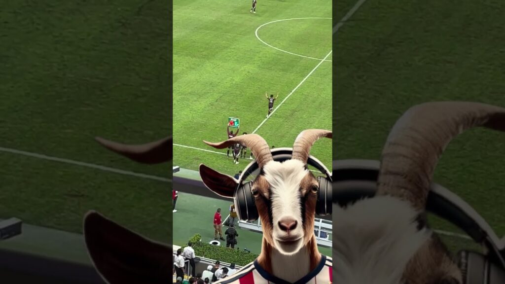 AFICIÓN ABUCHEA A ALEXIS VEGA EN EL AKRON