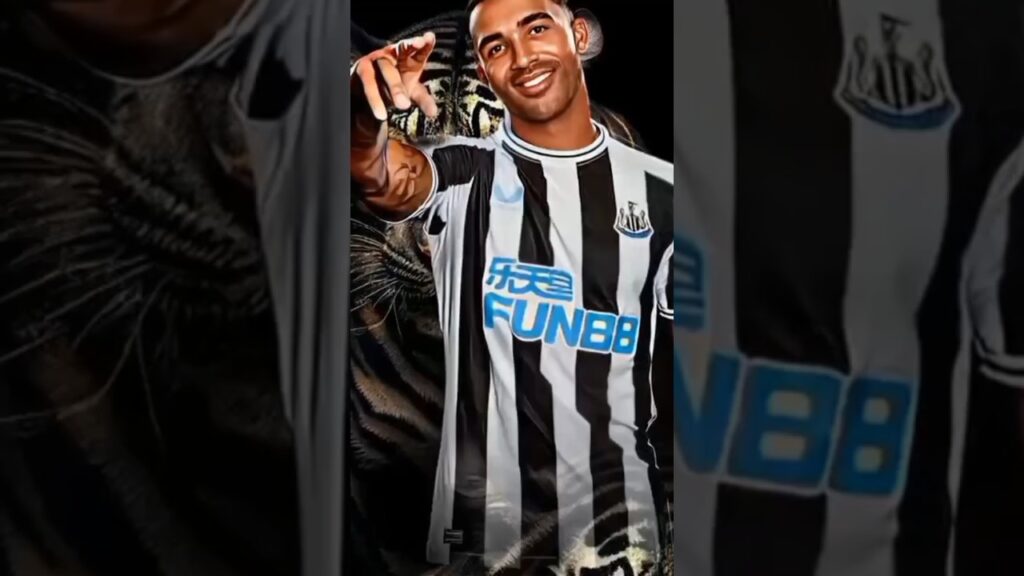callum wilson best goals- Newcastle united