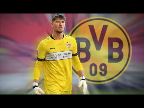 Welcome to Borussia Dortmund ,  Gregor Kobel 🧤