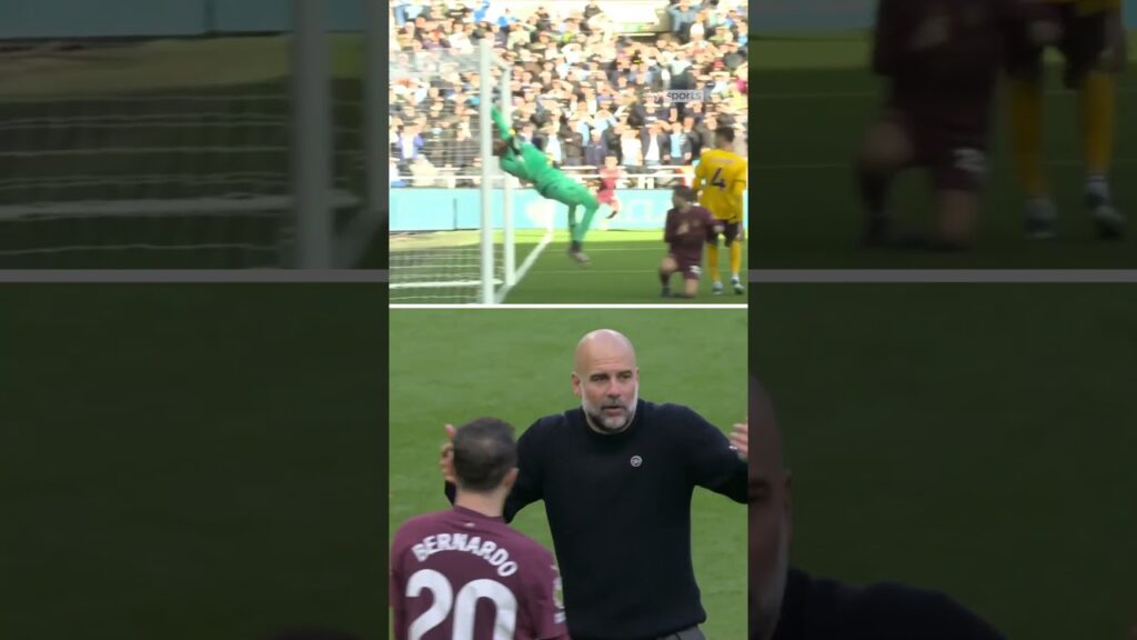 Pep and Bernardo Silva reenacting that late winner 👀