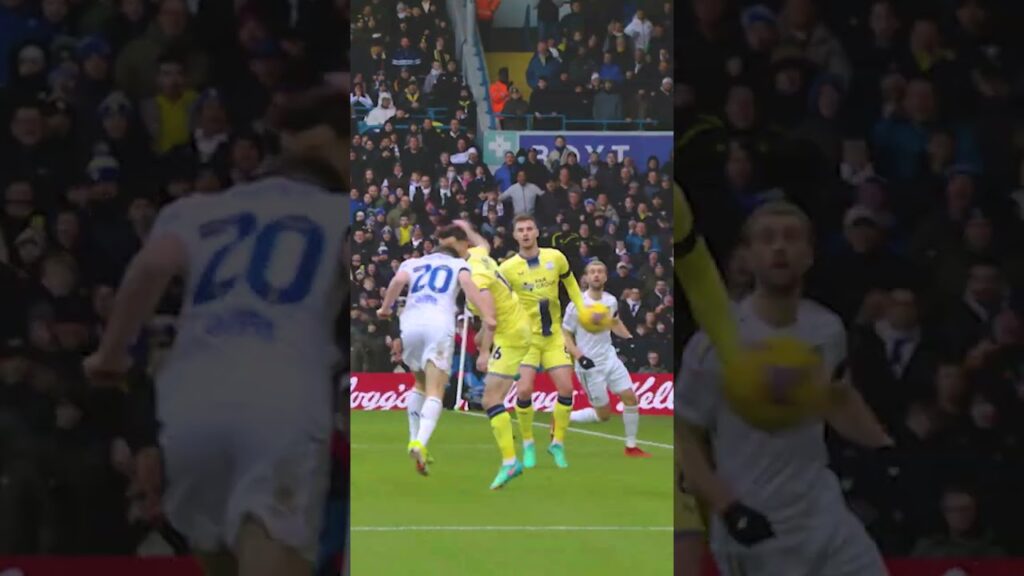Dan James = goals, goals, goals | Spotlight #lufc