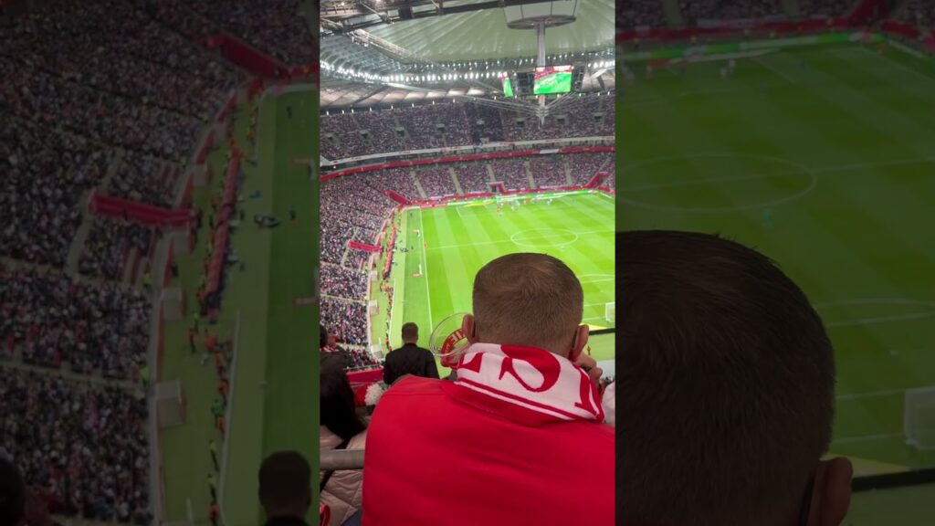 Polska 🇵🇱-  Chorwacja 🇭🇷 Gol na 1-1 Borna Sosa