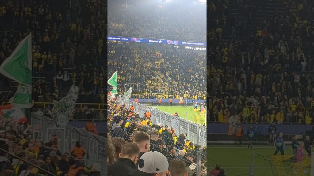 Celtic Fans feiern Kasper Schmeichel trotz 7 Gegentore #football #celticfc #championsleague #bvb