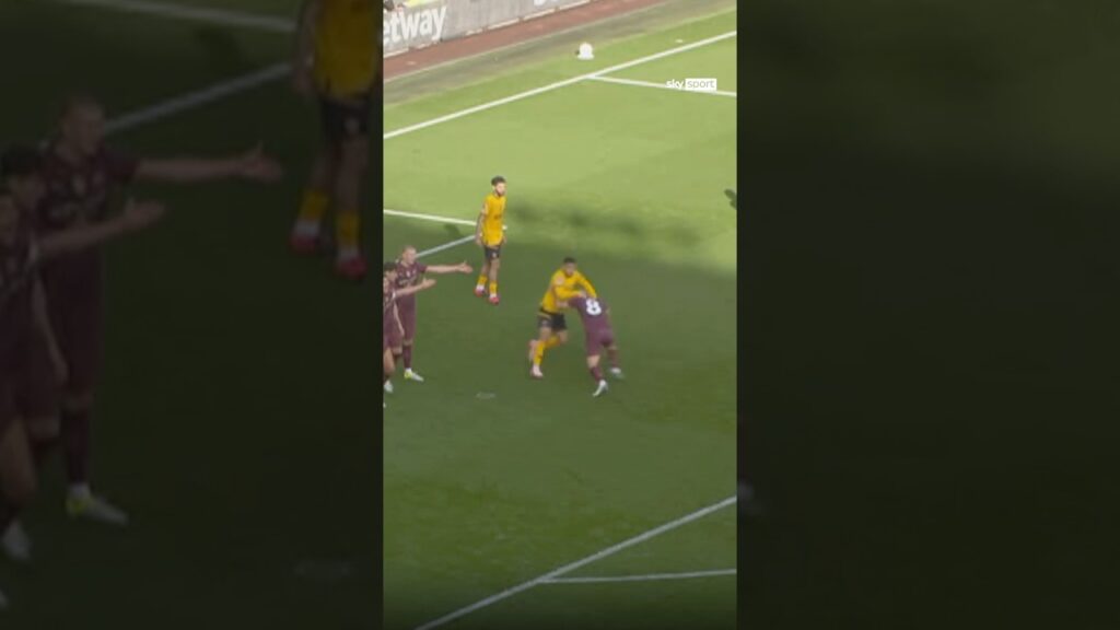 KURIOS! Gelbe Karte für diese Aktion von Joao Gomes! 😳