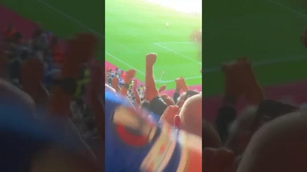 The moment Jordan Ayew scored the winner! #leicester #limbs #ayew