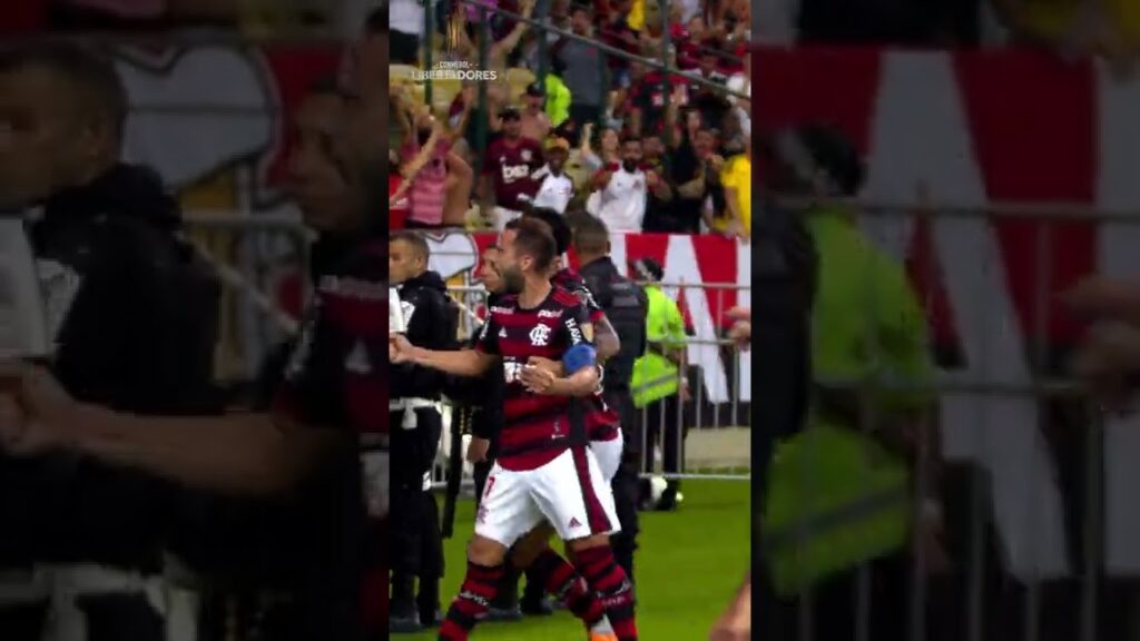 Gol de Everton Ribeiro do Flamengo na Libertadores #shorts