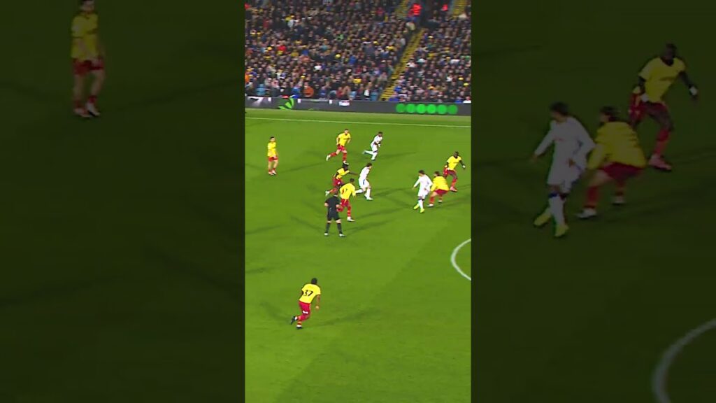 Brenden Aaronson on 🔥  #lufc