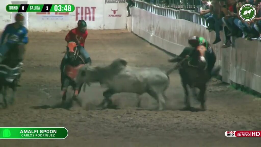 Turnos 7 8 9 Salida 3 Futurity Del Coleo 2 24