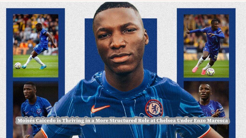 Moisés Caicedo is Thriving in a More Structured Role at Chelsea Under Enzo Maresca🔥