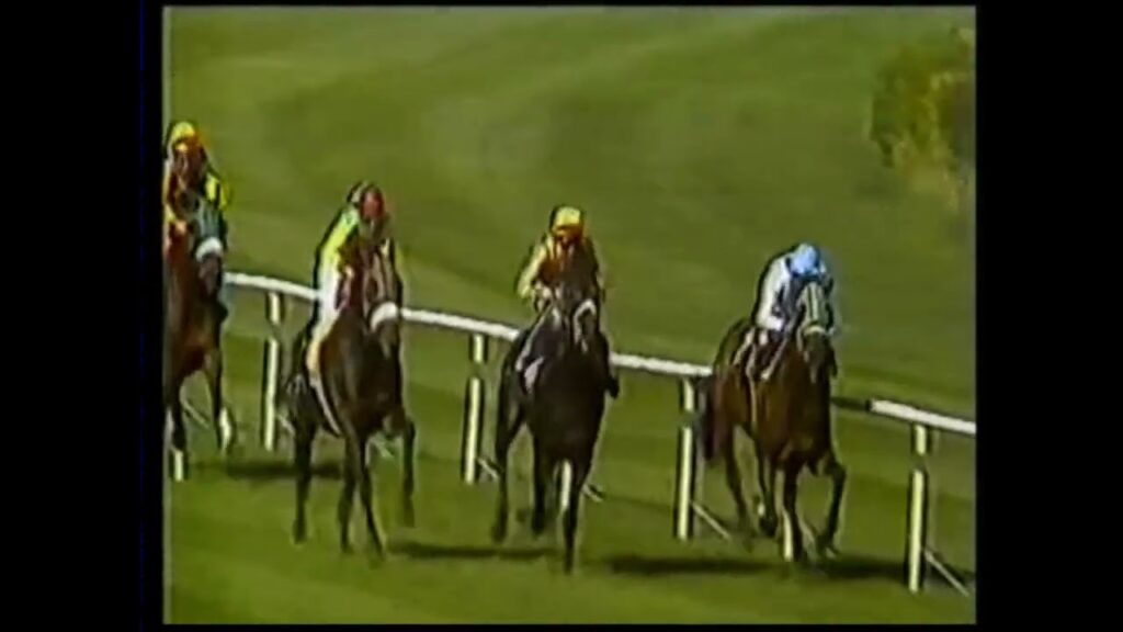 1984 (280) Premio NEMESIO MARTÍNEZ-HOMBRE (A y Gn) (H) TOM ROCK (SPA) (1979) cuadra Unid Equit y Rem