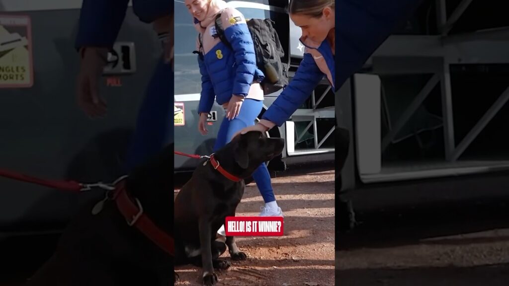 Lionesses meet Winnie 🐶