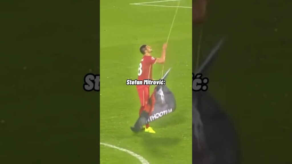 Stefan Mitrovic👏🥶 #footballmoments #euro2016 #soccer