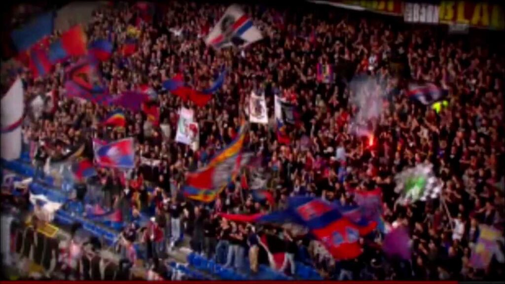 Vielen Dank Alex Frei! Vielen Dank Alex Frei!