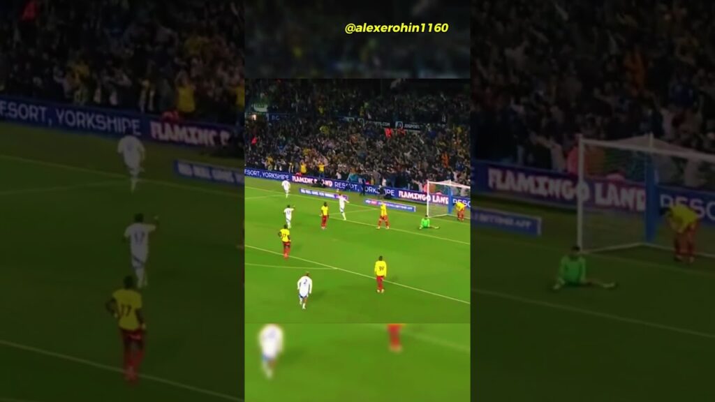 🔥 Alert Brenden Aaronson's Perfect Finish! | Leeds United vs Watford | #leedsunited #watford #efl