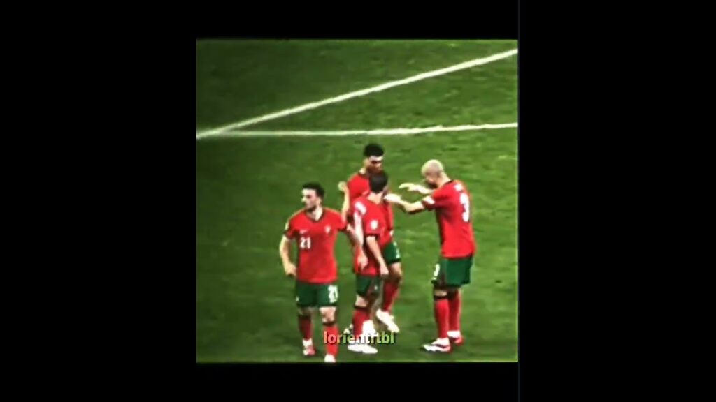 Diogo Costa is the savior of portugal 🇵🇹🤩🔥 #football #edit #ronaldo #realmadrid #soccer #messi #goat