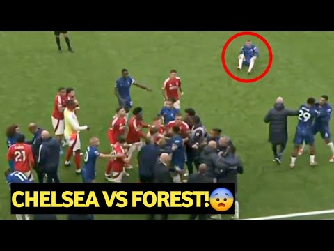 😅 Cole Palmer Reaction To Chelsea Players Fighting With Nottm Forest Players