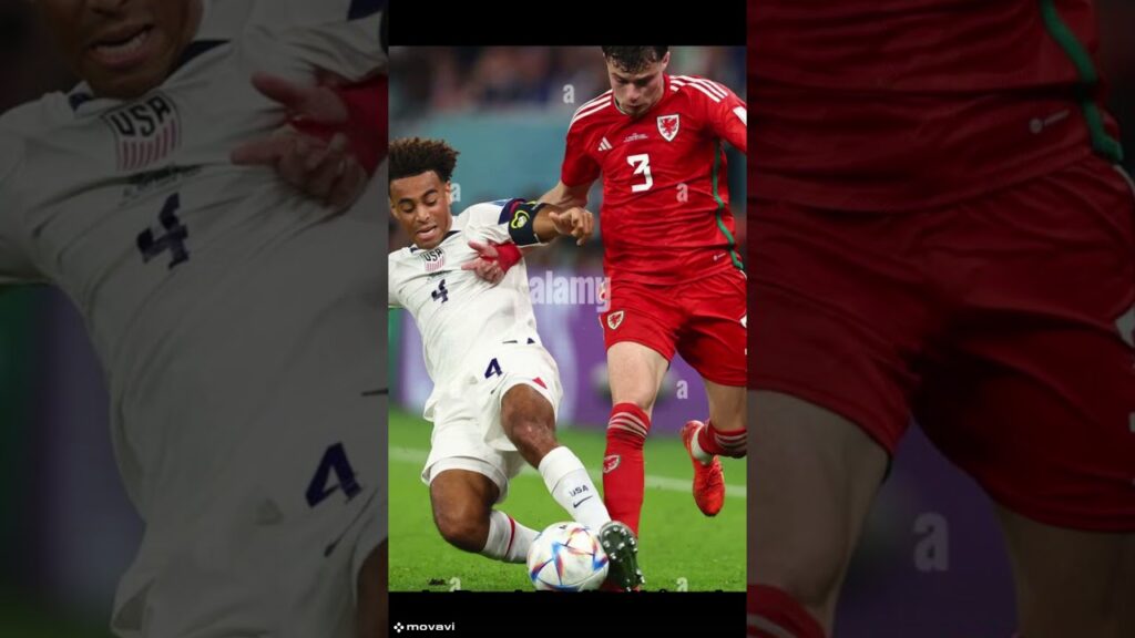 Tyler Adams # #biography #soccerplayer