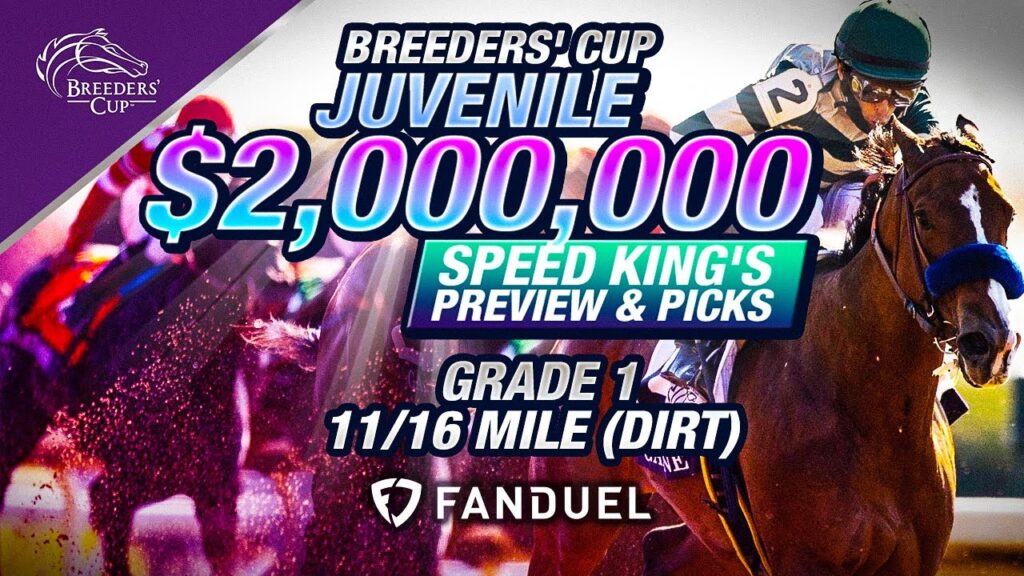 2024 Breeders Cup Juvenile (#1 EAST AVE 5/2) Best Bet! Preview & Picks 9th Race Del Mar 11/1/2024.
