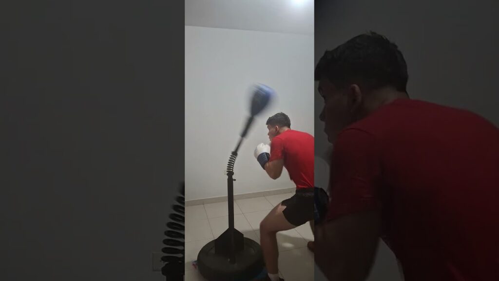 Reflex cobra bag work 10/29/24