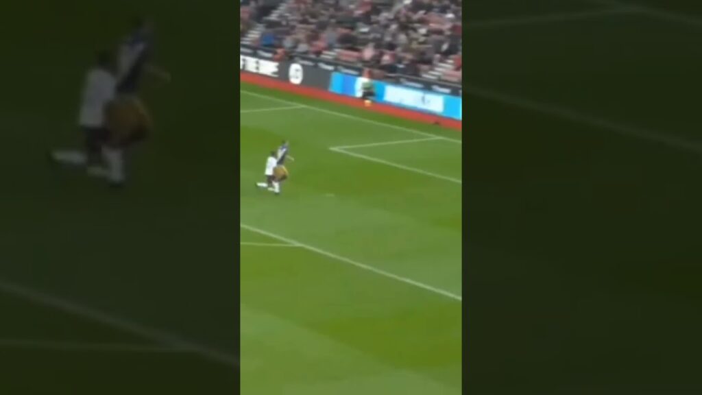 Nick Pope Newcastle United Goalkeeper Stunning Saves  liked by Relationship Friends with Skills.