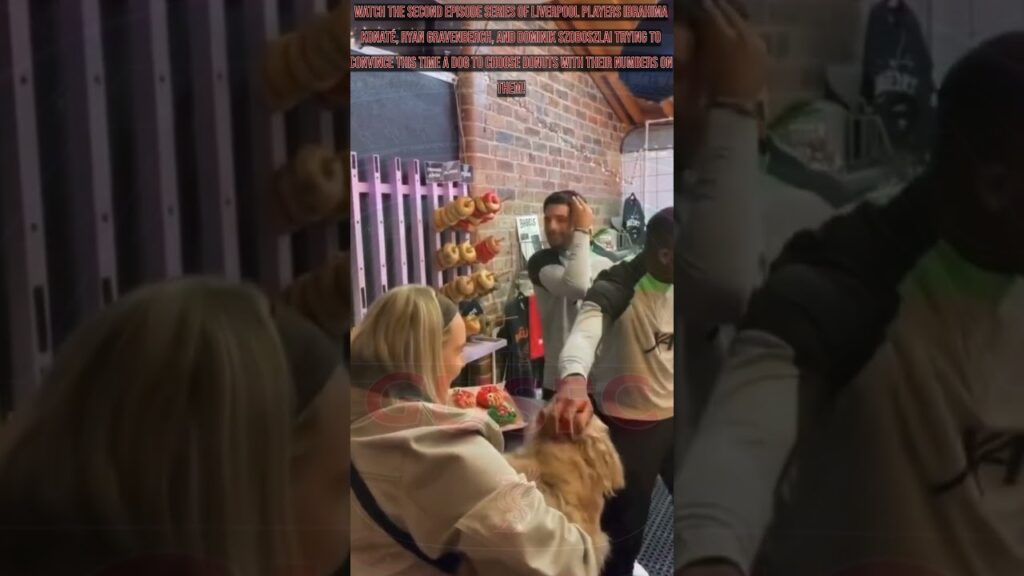 Liverpool players tried to convince this time a dog to choose the donuts with their numbers on them!