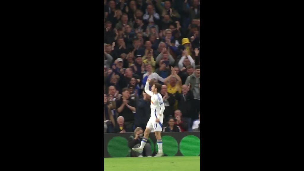 Brenden Aaronson scores again! #lufc