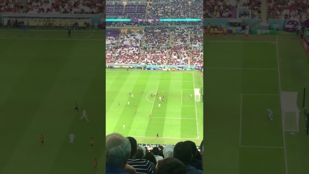 Breel Embolo’s Bicycle Kick Attempt🔥🔥🔥🥶 #fifaworldcup #fifaworldcupqatar2022