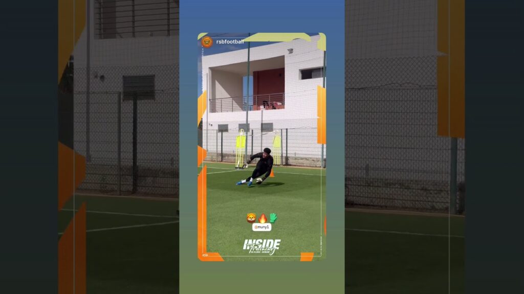 منير المحمدي