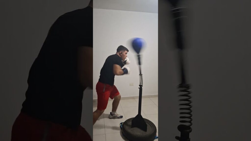 Reflex cobra bag work 11/1/24