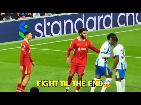 Watch the Fight between Trent Alexander-Arnold and Pervis Estupinan and crowd going loud 😭