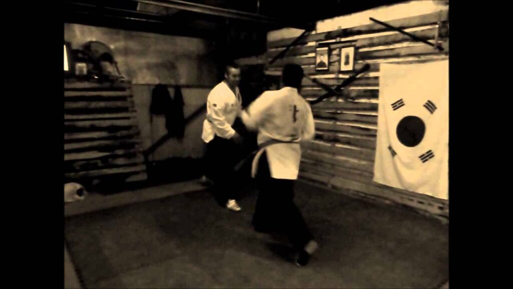 yu kwon sul tecnicas