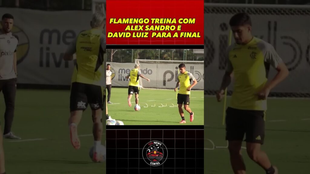 FLAMENGO TREINA COM ALEX SANDRO E DAVID LUIZ  PA