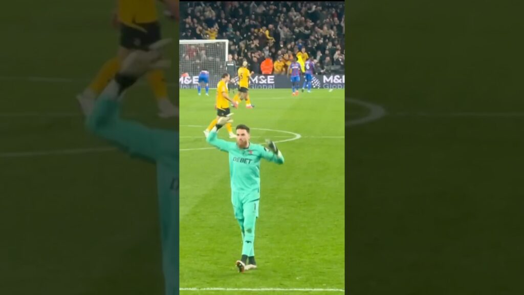 Jose Sa after Wolves 2nd Goal v Palace